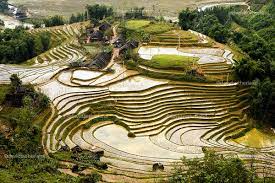 Hill Farming